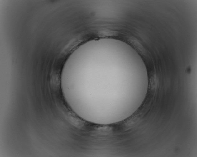 X0000089450426200707061246