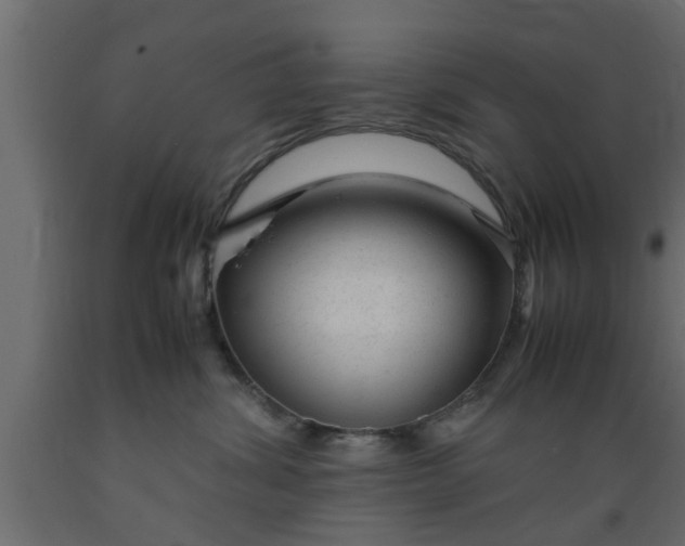 X0000089450428200707061246