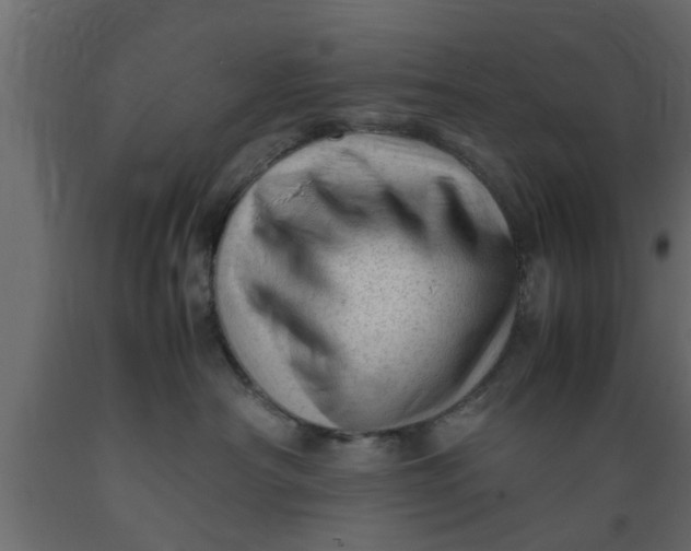 X0000089450430200707061246