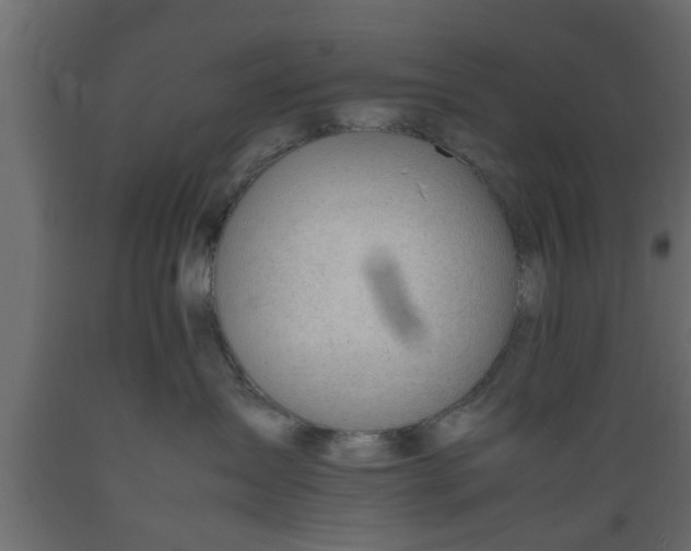 X0000089450431200707061246