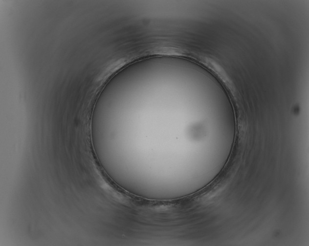 X0000089450433200707061245