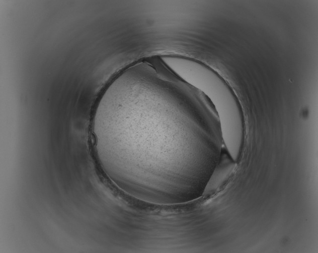 X0000089450434200707061245