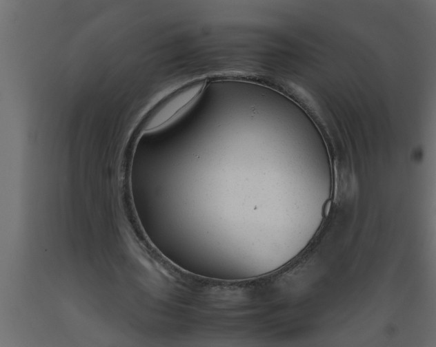 X0000089450435200707061245