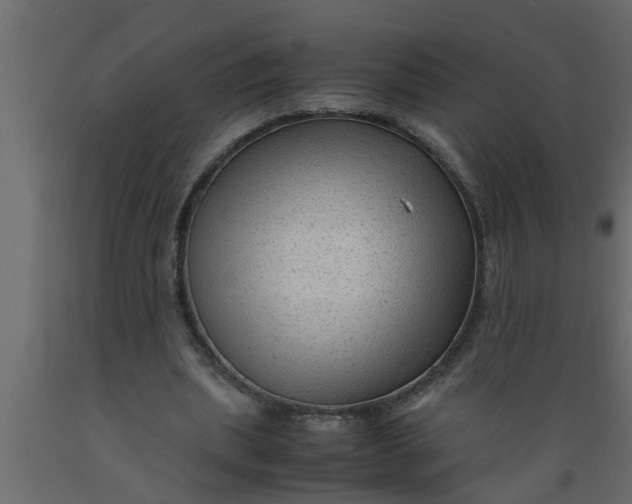 X0000089450439200707061245