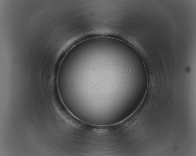 X0000089450440200707061245