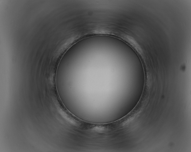 X0000089450441200707061245