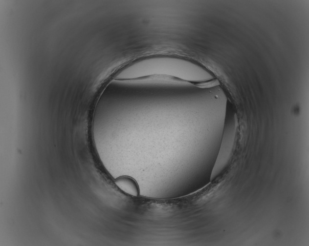 X0000089450442200707061245