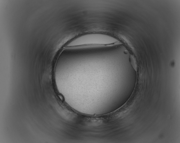 X0000089450443200707061245