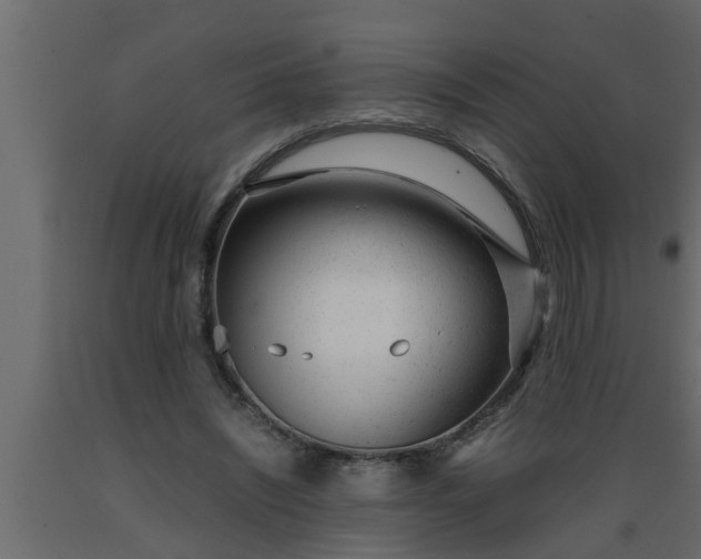 X0000089450444200707061245