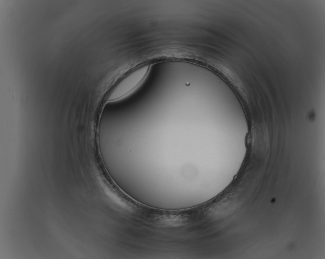 X0000089450445200707061245