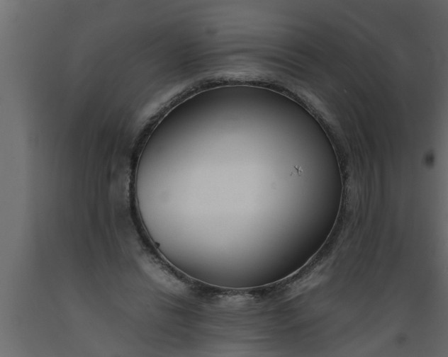 X0000089450446200707061245