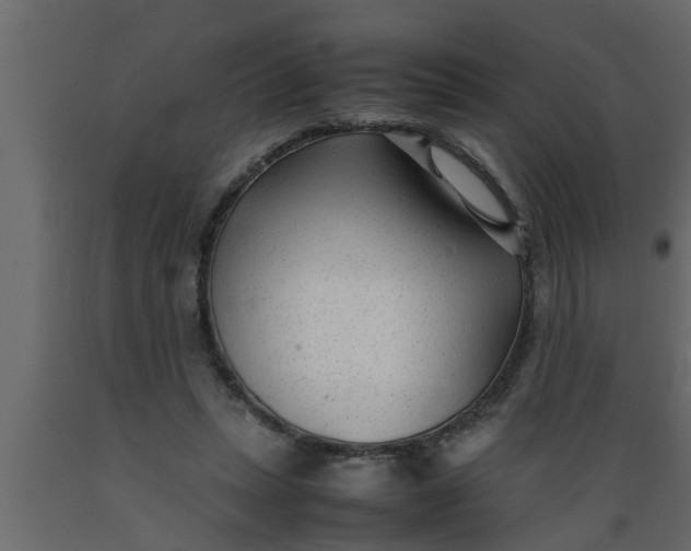 X0000089450447200707061245