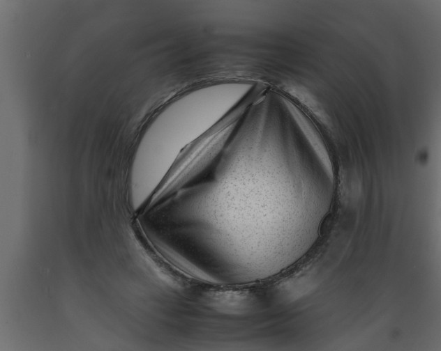 X0000089450449200707061245