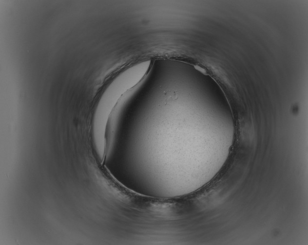 X0000089450450200707061245