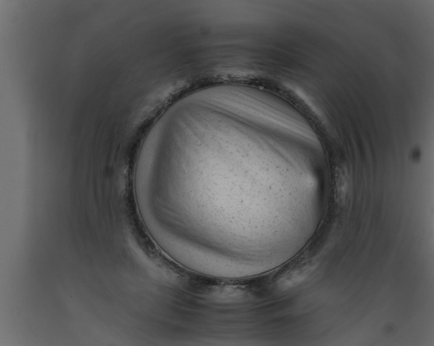 X0000089450451200707061245