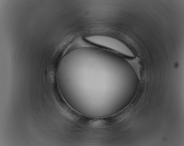 X0000089450452200707061245