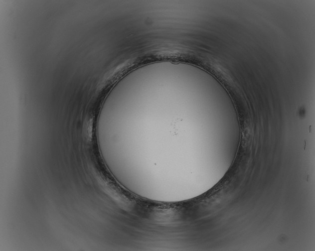 X0000089450454200707061246