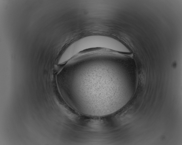 X0000089450458200707061246