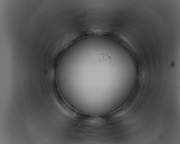 X0000089450459200707061246