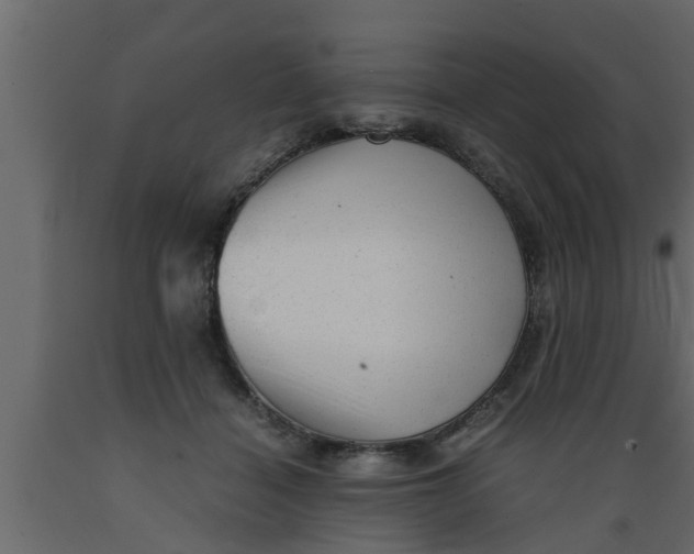 X0000089450460200707061246