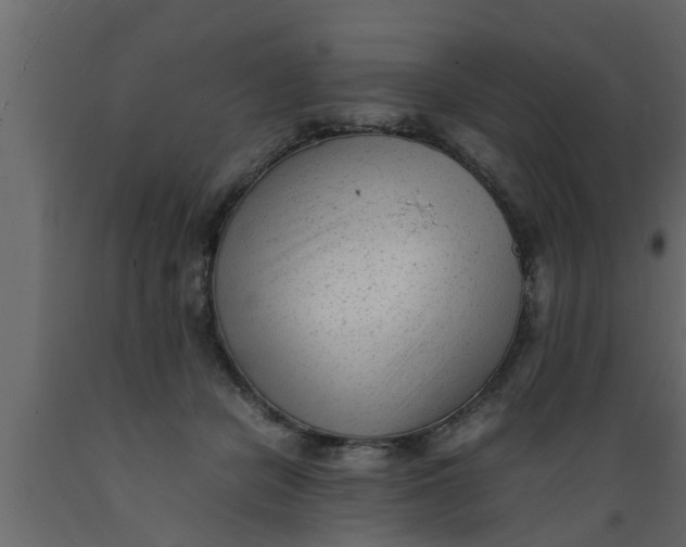 X0000089450462200707061246