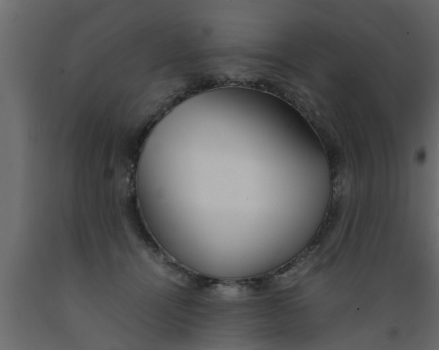 X0000089450464200707061246