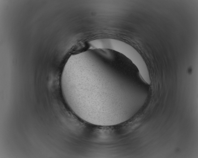 X0000089450466200707061246