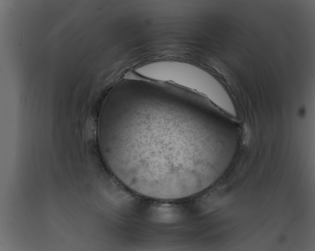 X0000089450467200707061246