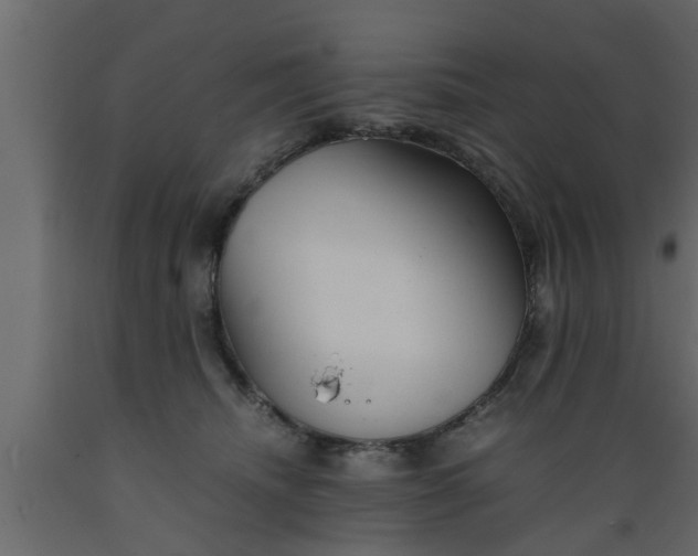 X0000089450468200707061246