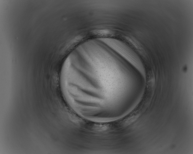 X0000089450469200707061246