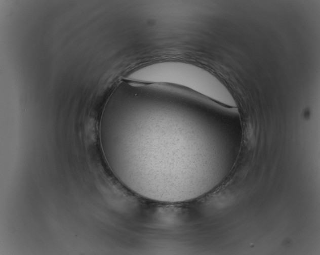 X0000089450470200707061246