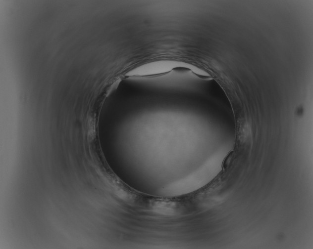 X0000089450471200707061246