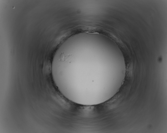 X0000089450474200707061246