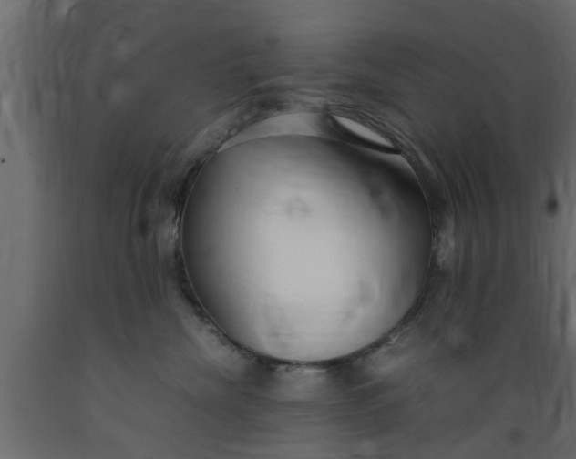 X0000089450476200707061246