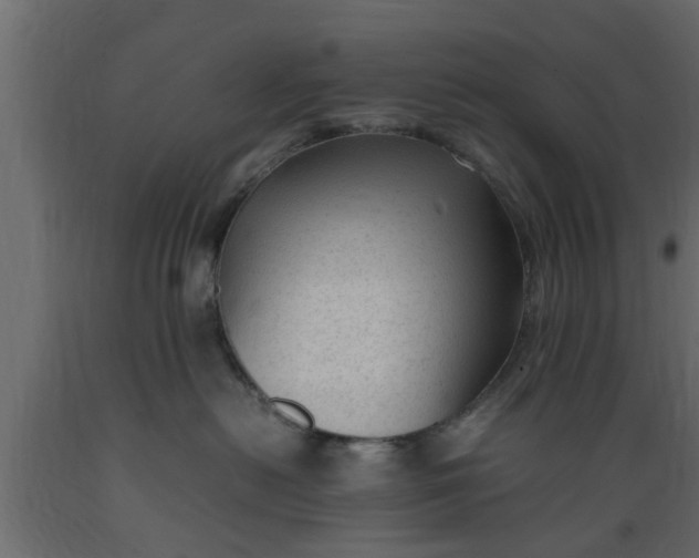 X0000089450478200707061246