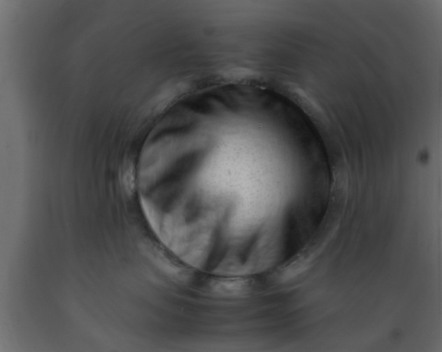 X0000089450479200707061246