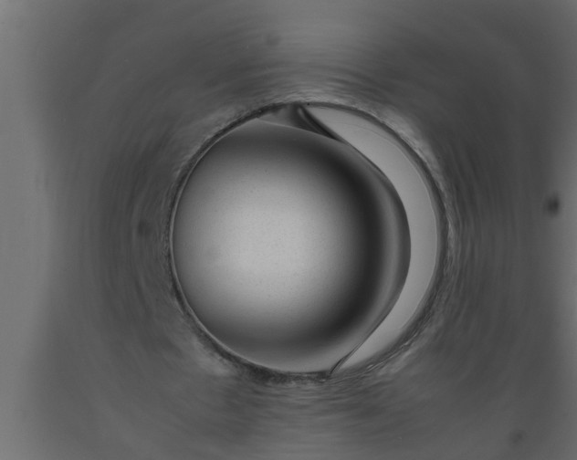 X0000089450481200707061245