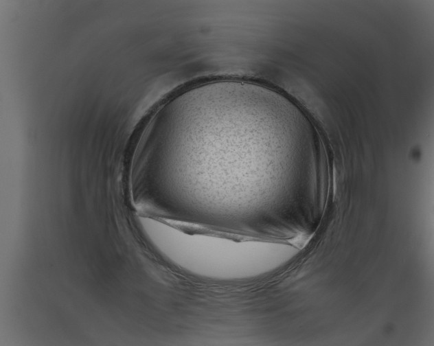 X0000089450483200707061245