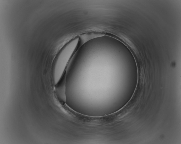 X0000089450485200707061245