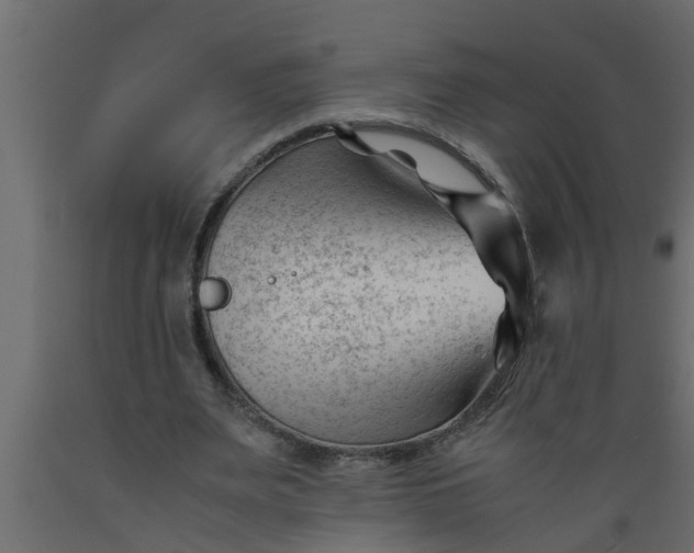 X0000089450487200707061245