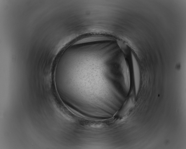 X0000089450488200707061245