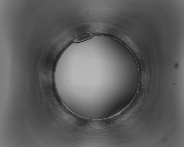 X0000089450489200707061245