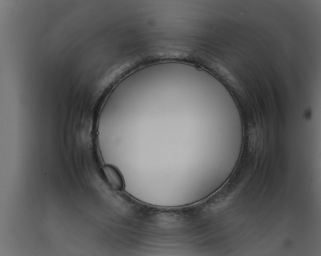 X0000089450490200707061245