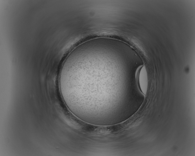 X0000089450491200707061245