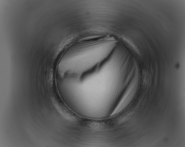 X0000089450494200707061245