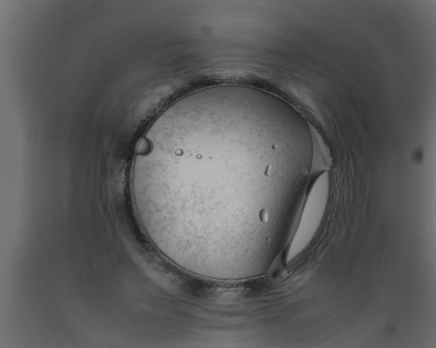 X0000089450495200707061245