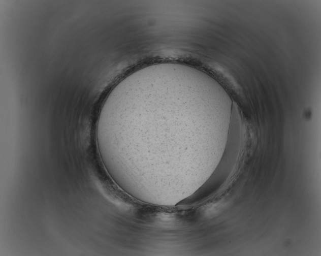 X0000089450496200707061245