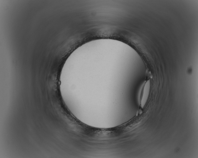 X0000089450497200707061245