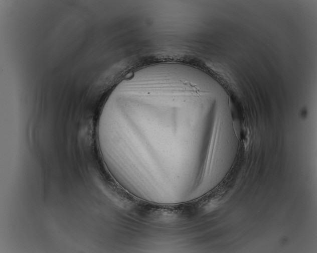 X0000089450498200707061245