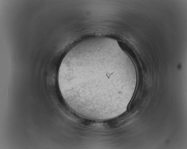 X0000089450499200707061245